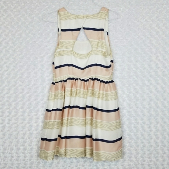 BB Dakota Blush Striped Dress - Picture 5 of 6
